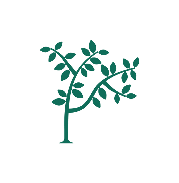 Elsa Cacao et Chocolat